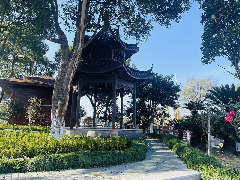 火化流程是什么？火化后骨灰可以带回家吗？