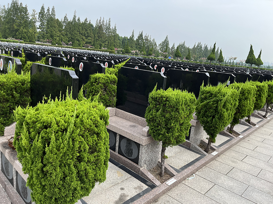 什么是扫墓？扫墓是怎么兴起来的？