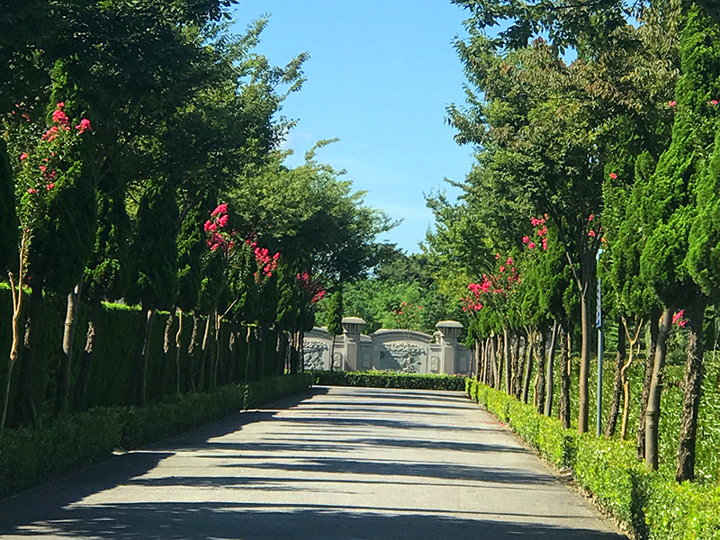 祭祀节日—寒食、清明介绍
